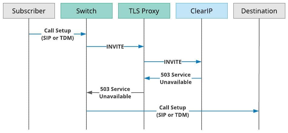 ClearIP TLS Proxy within a telecommunications network