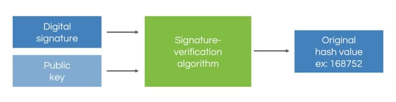 verify the signature